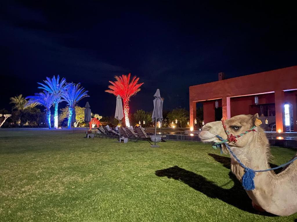 Dar Noujoum Hotel Ait Bou Zguia ภายนอก รูปภาพ